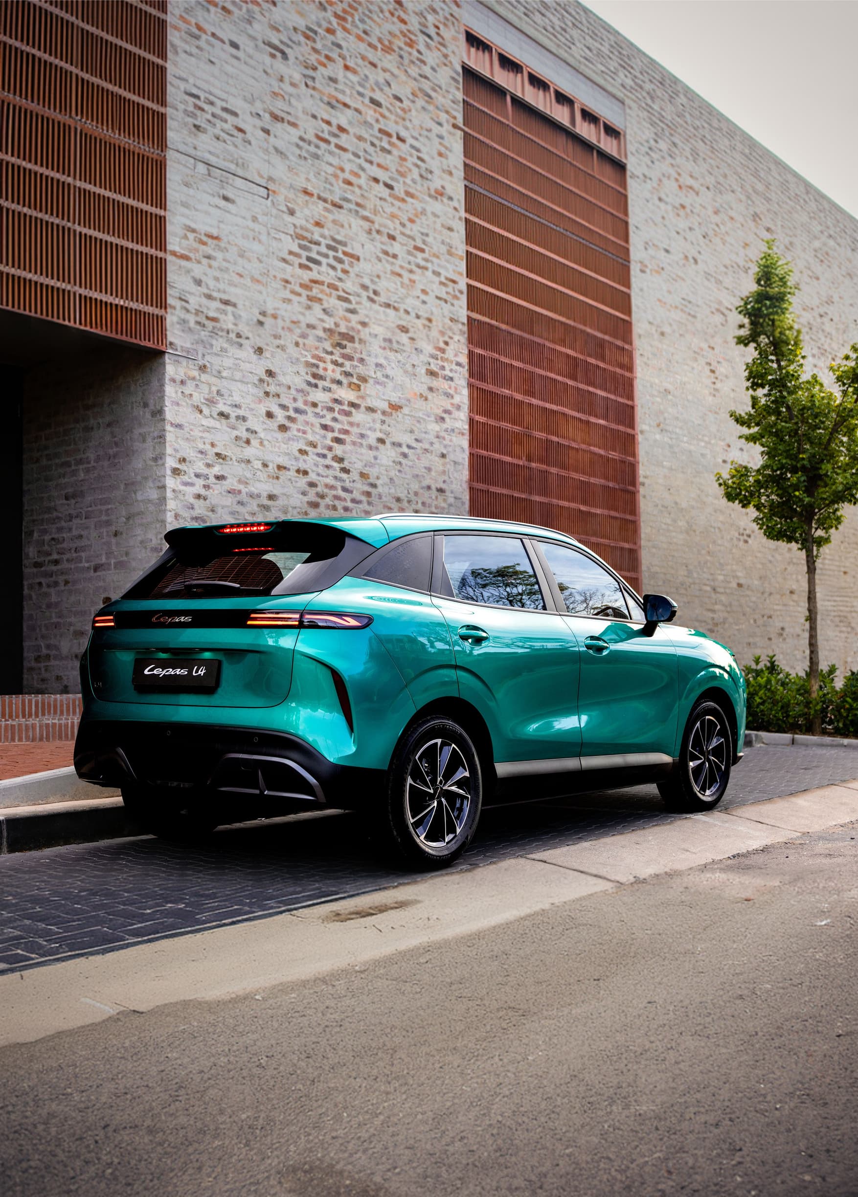 Lepas L4 Rear View